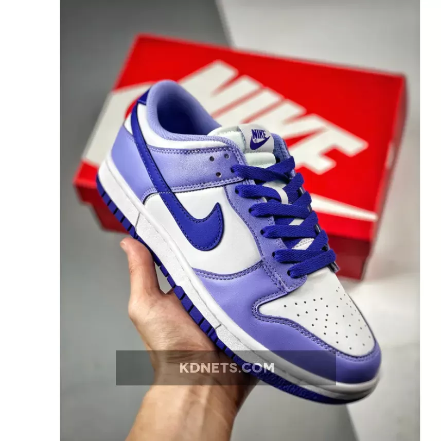 Nike Dunk Low GS 'Blueberry' White/Light Thistle-Lapis / Blueberry Air Force 1 DZ4456-100