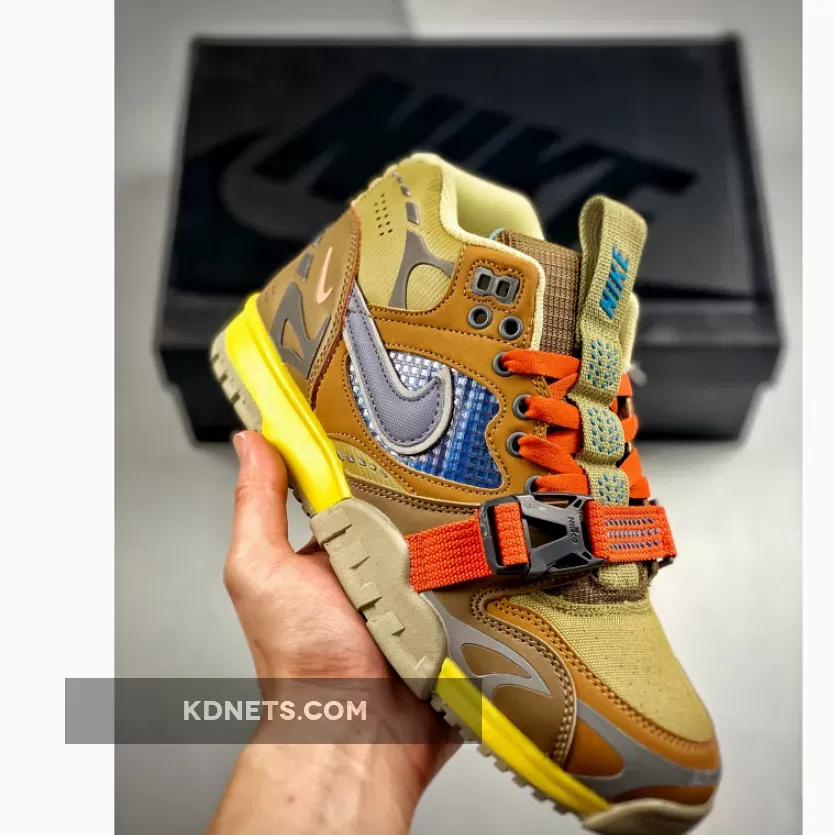 Nike Air Trainer 1 SP Coriander/Ashen Slat /Wheat/Light Sienna air trainer 1 coriander