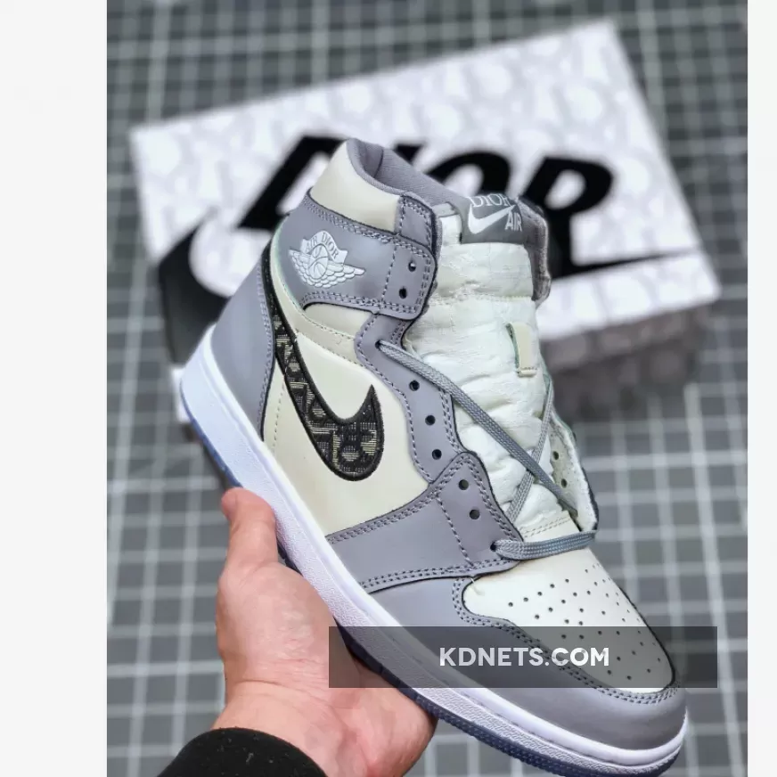 Dioor x Air Jordan 1 White and Grey