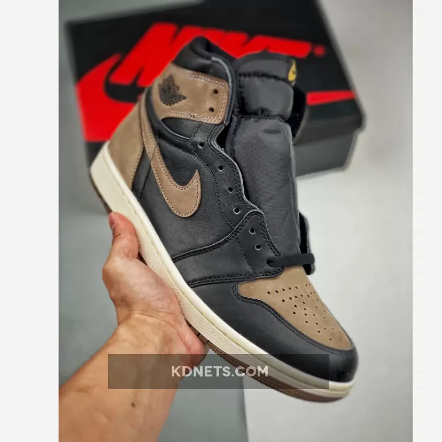 Air Jordan 1 High OG Palomino Vapormax Og DZ5485-020
