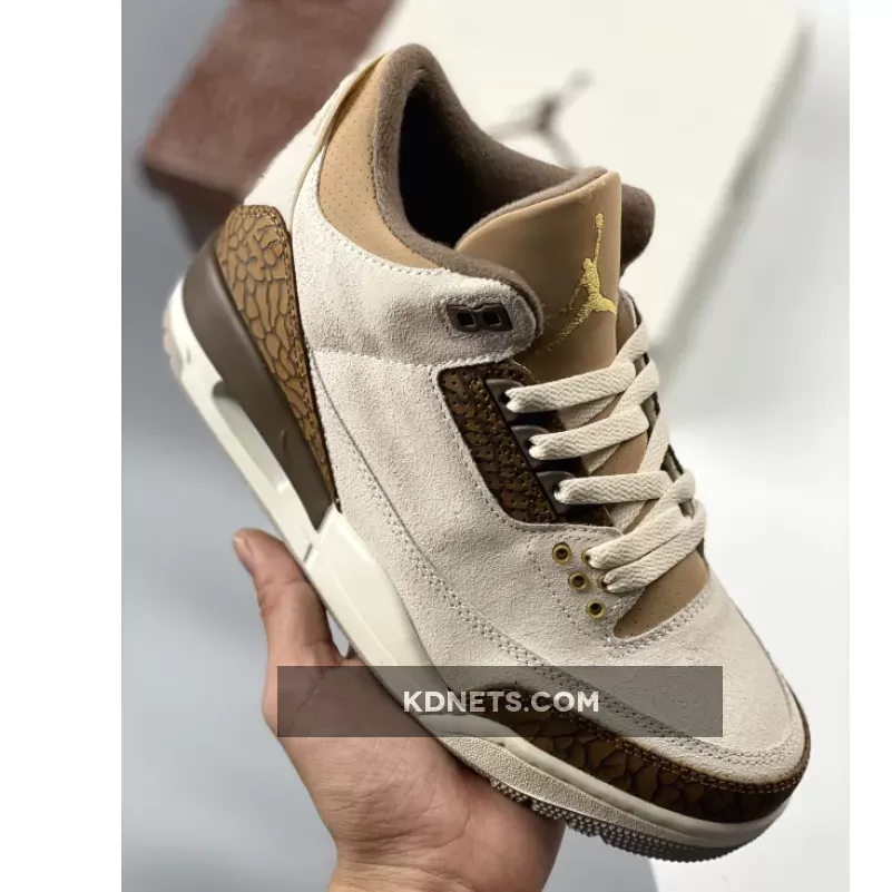 Air Jordan 3 Retro ‘Palomino’ | men jordan 3 CT8532-102