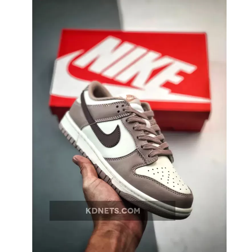 Nike Dunk Low Diffused Taupe/Sail