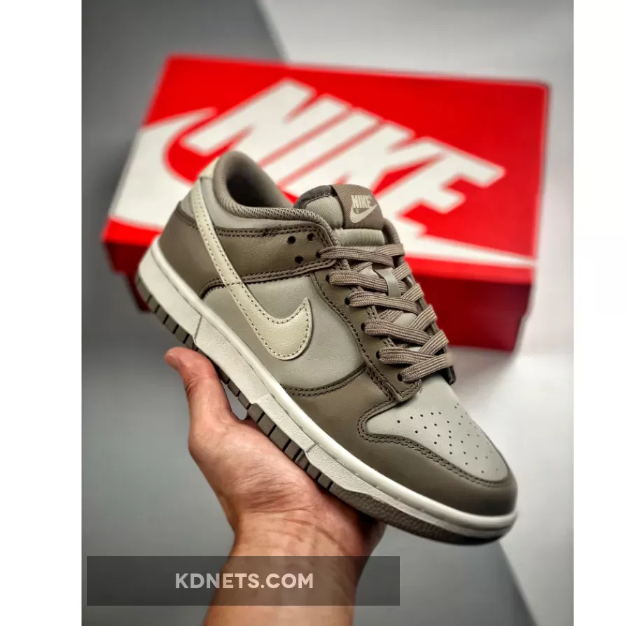 Nike Dunk Low Light Grey Sail